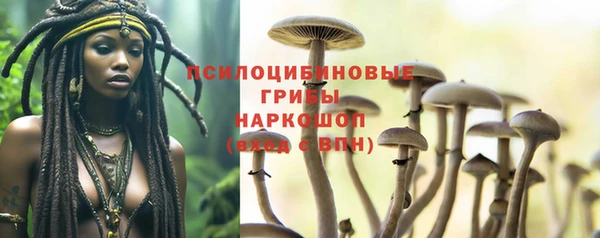молекула духа Осташков