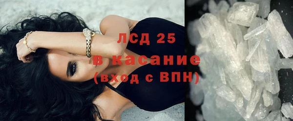 молекула духа Осташков