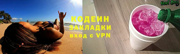 молекула духа Осташков