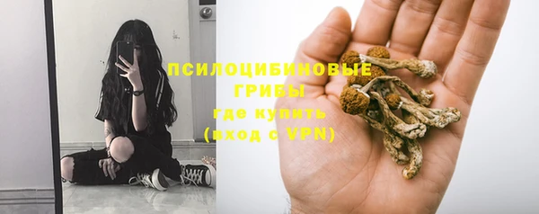 молекула духа Осташков