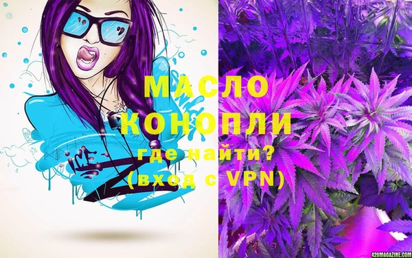 молекула духа Осташков