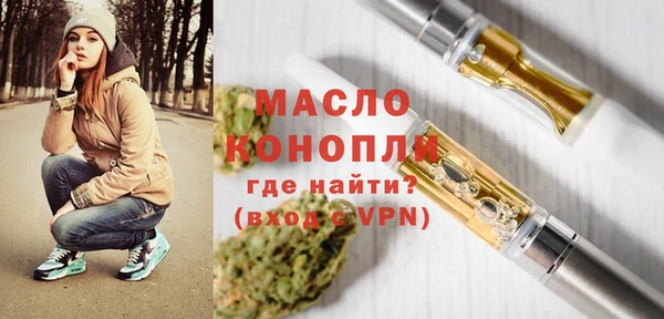 молекула духа Осташков