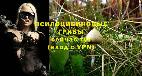 молекула духа Осташков