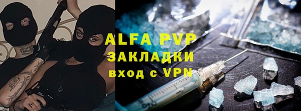 молекула духа Осташков