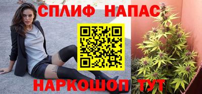 амф Бийск