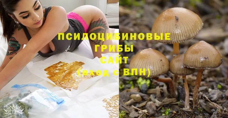 Галлюциногенные грибы Magic Shrooms  это состав  Фролово 