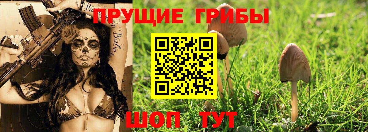 Галлюциногенные грибы Psilocybine cubensis  Галлюциногенные грибы ЛСД  Вход с VPN  Фролово 